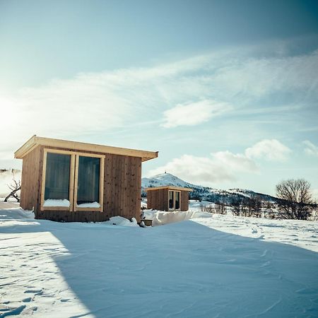 Rauland Feriesenter Villa Dış mekan fotoğraf