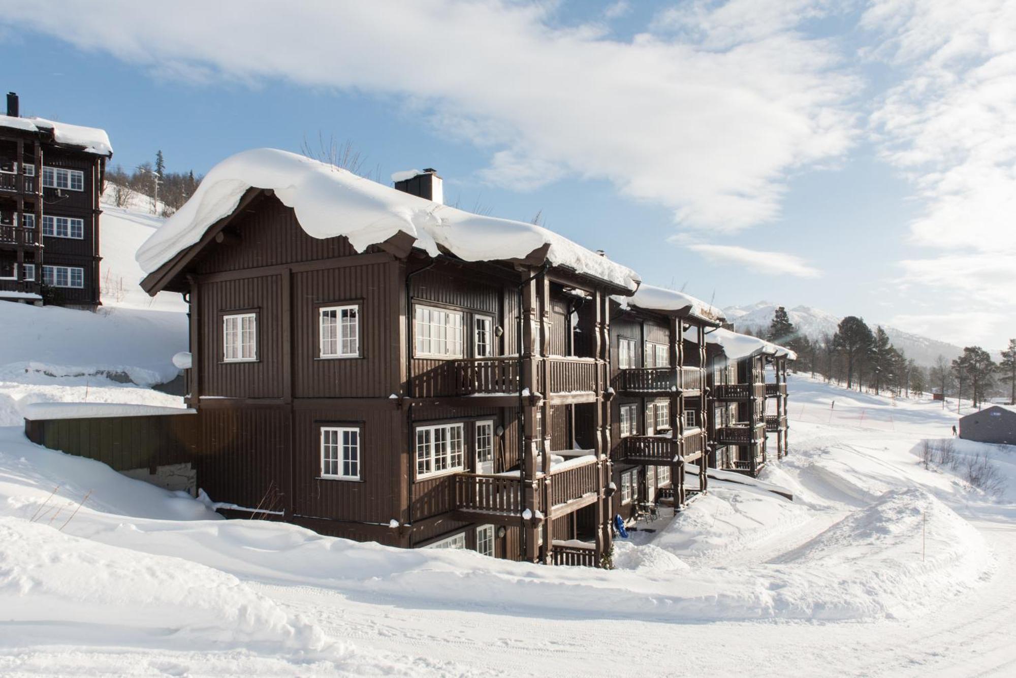 Rauland Feriesenter Villa Oda fotoğraf