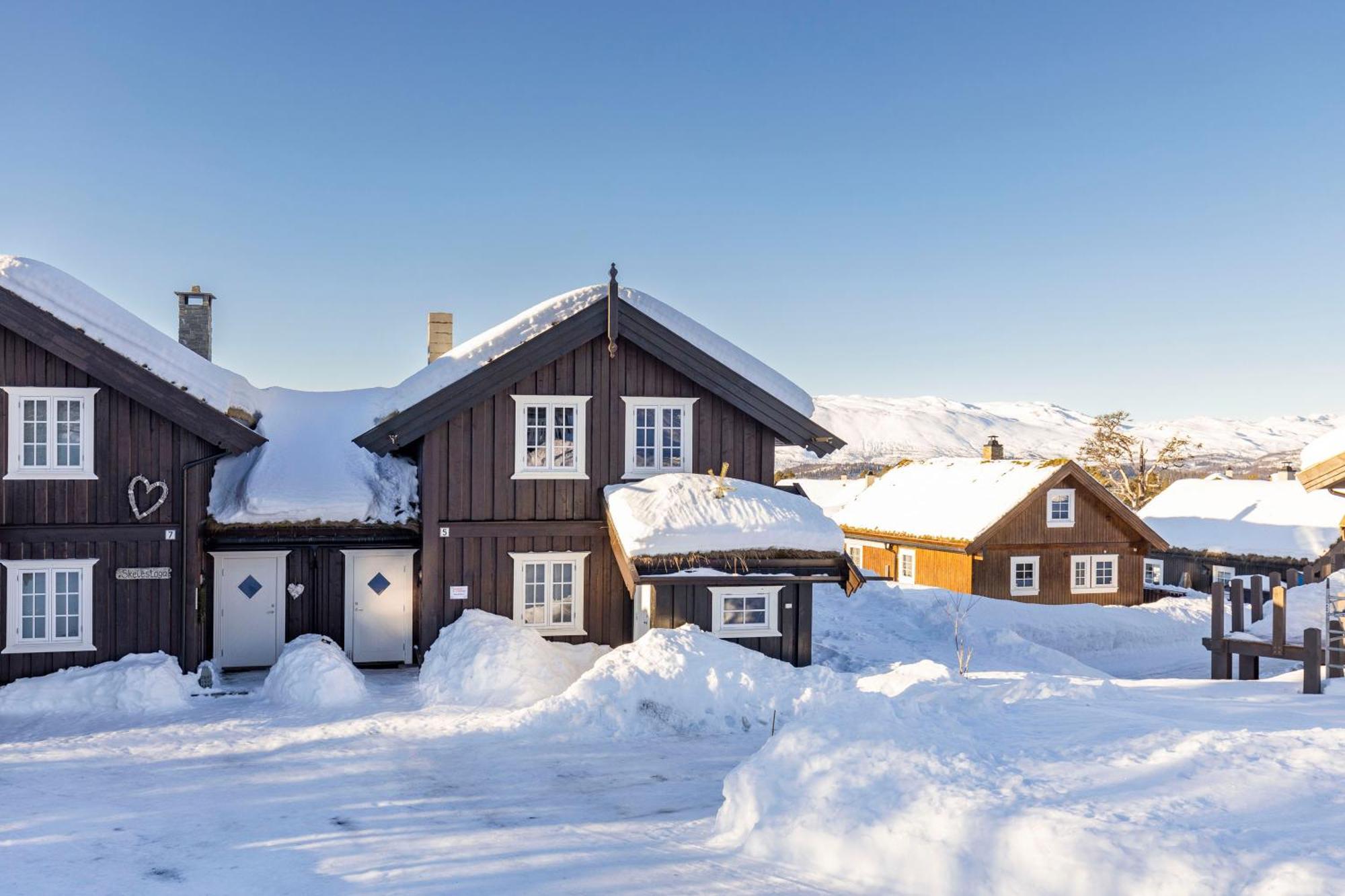 Rauland Feriesenter Villa Oda fotoğraf