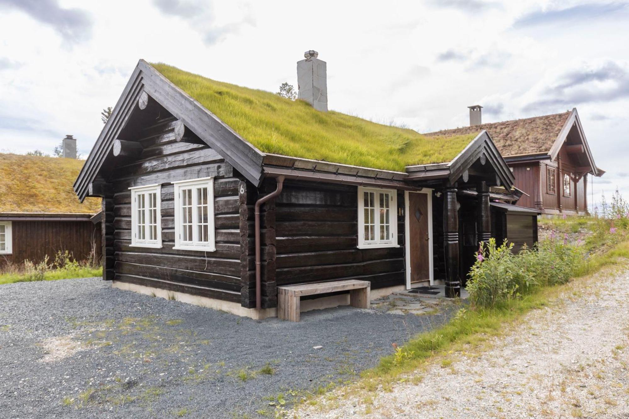 Rauland Feriesenter Villa Dış mekan fotoğraf