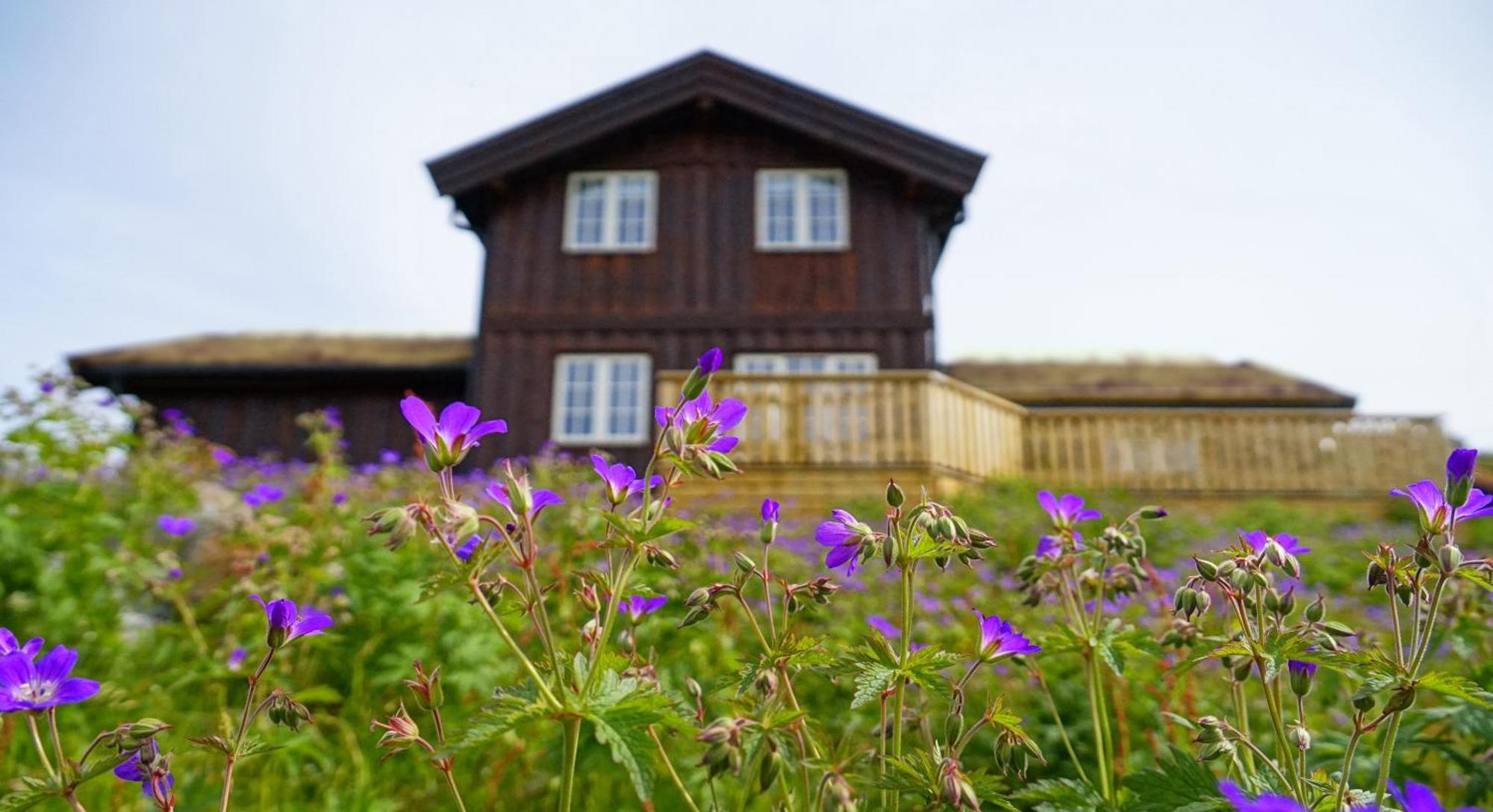 Rauland Feriesenter Villa Dış mekan fotoğraf