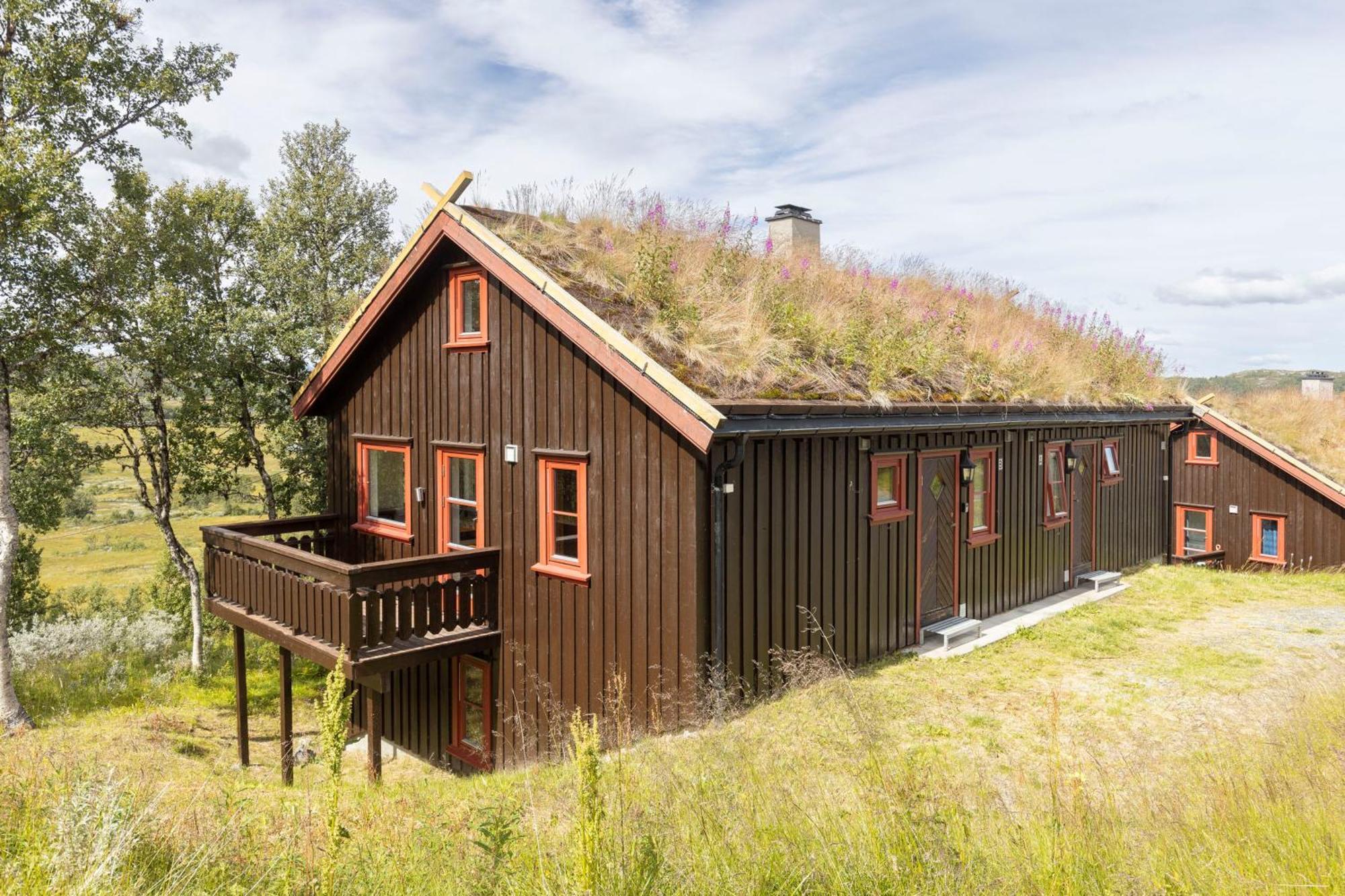 Rauland Feriesenter Villa Oda fotoğraf
