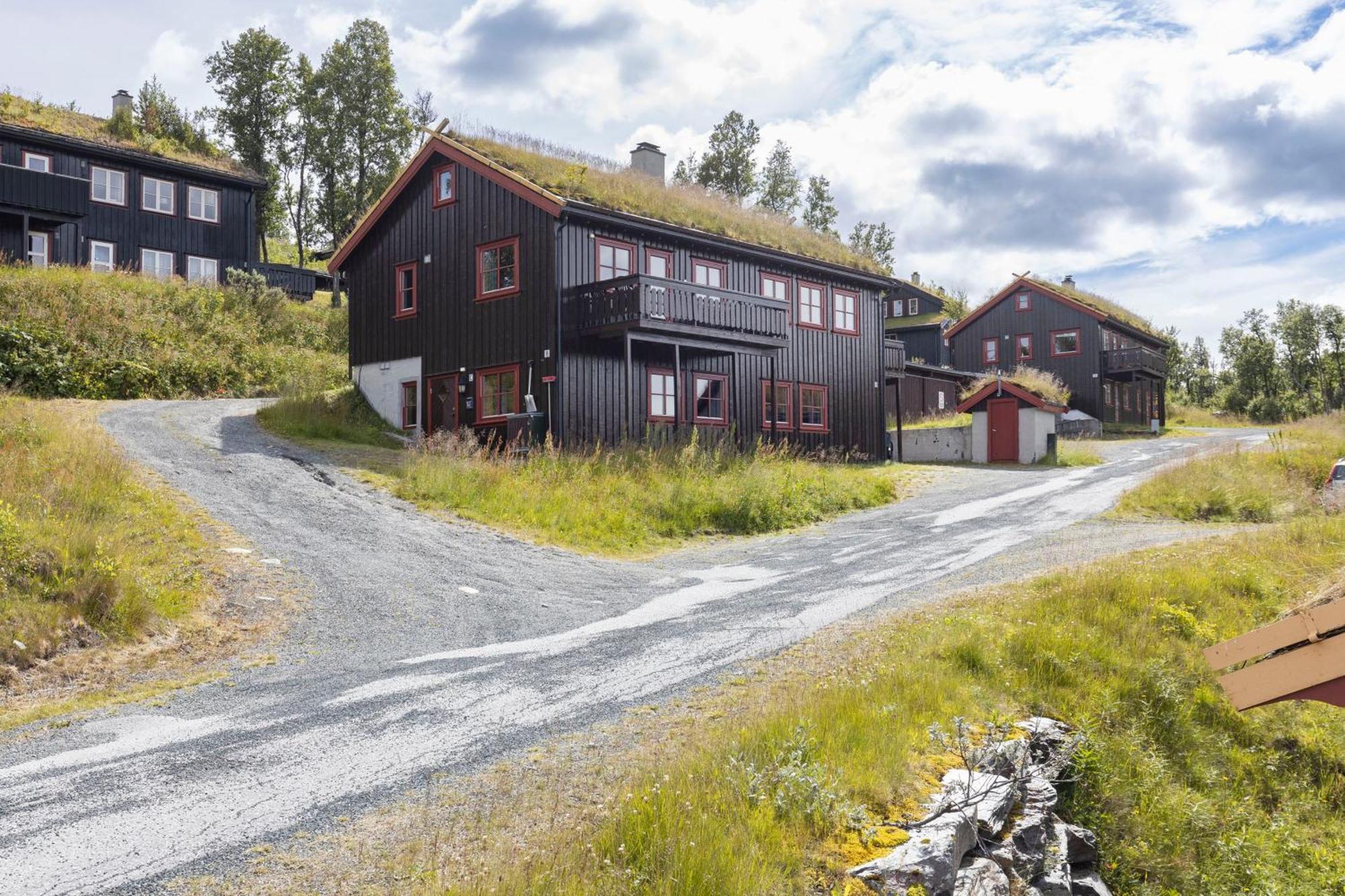 Rauland Feriesenter Villa Oda fotoğraf