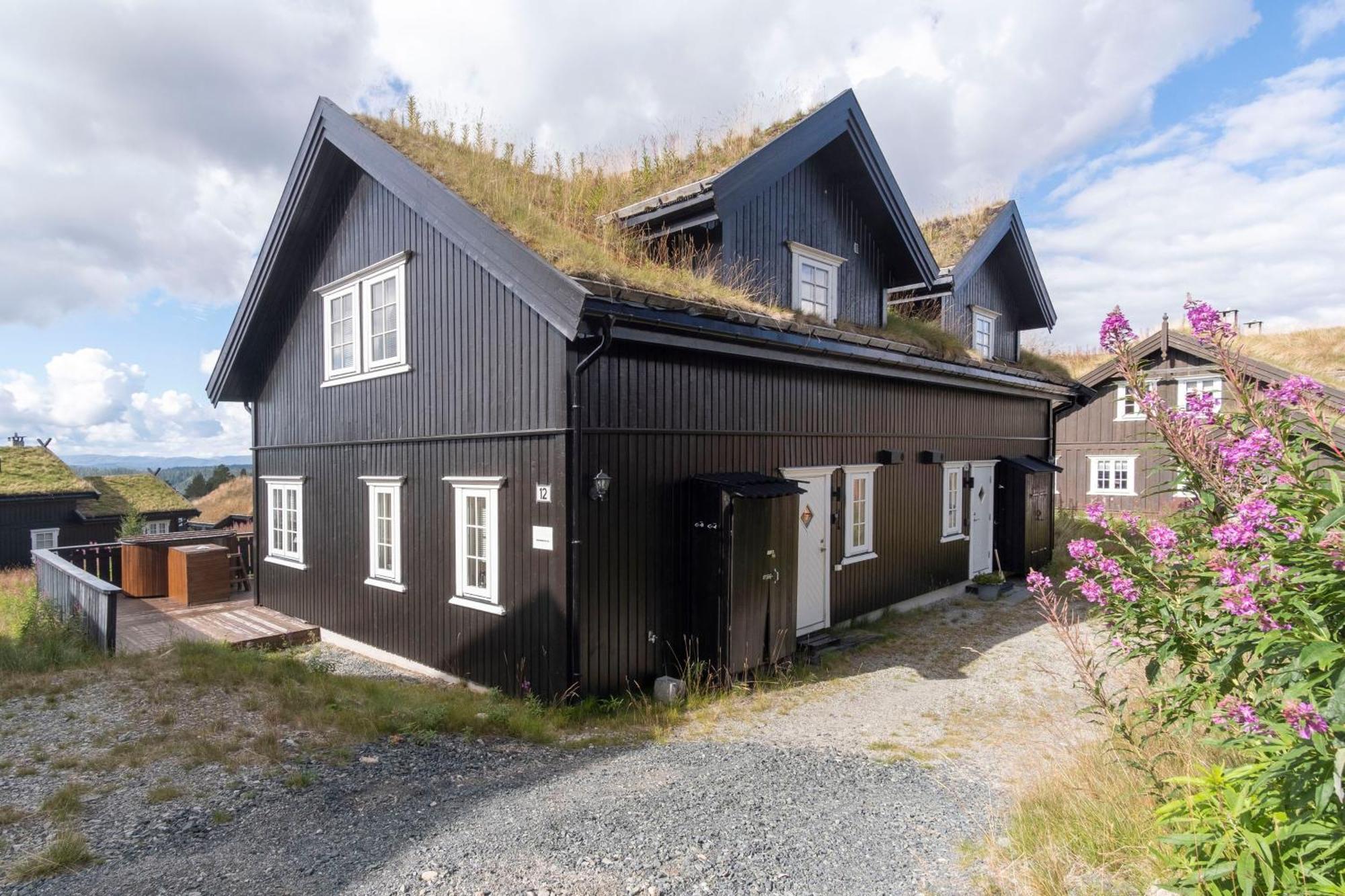 Rauland Feriesenter Villa Oda fotoğraf