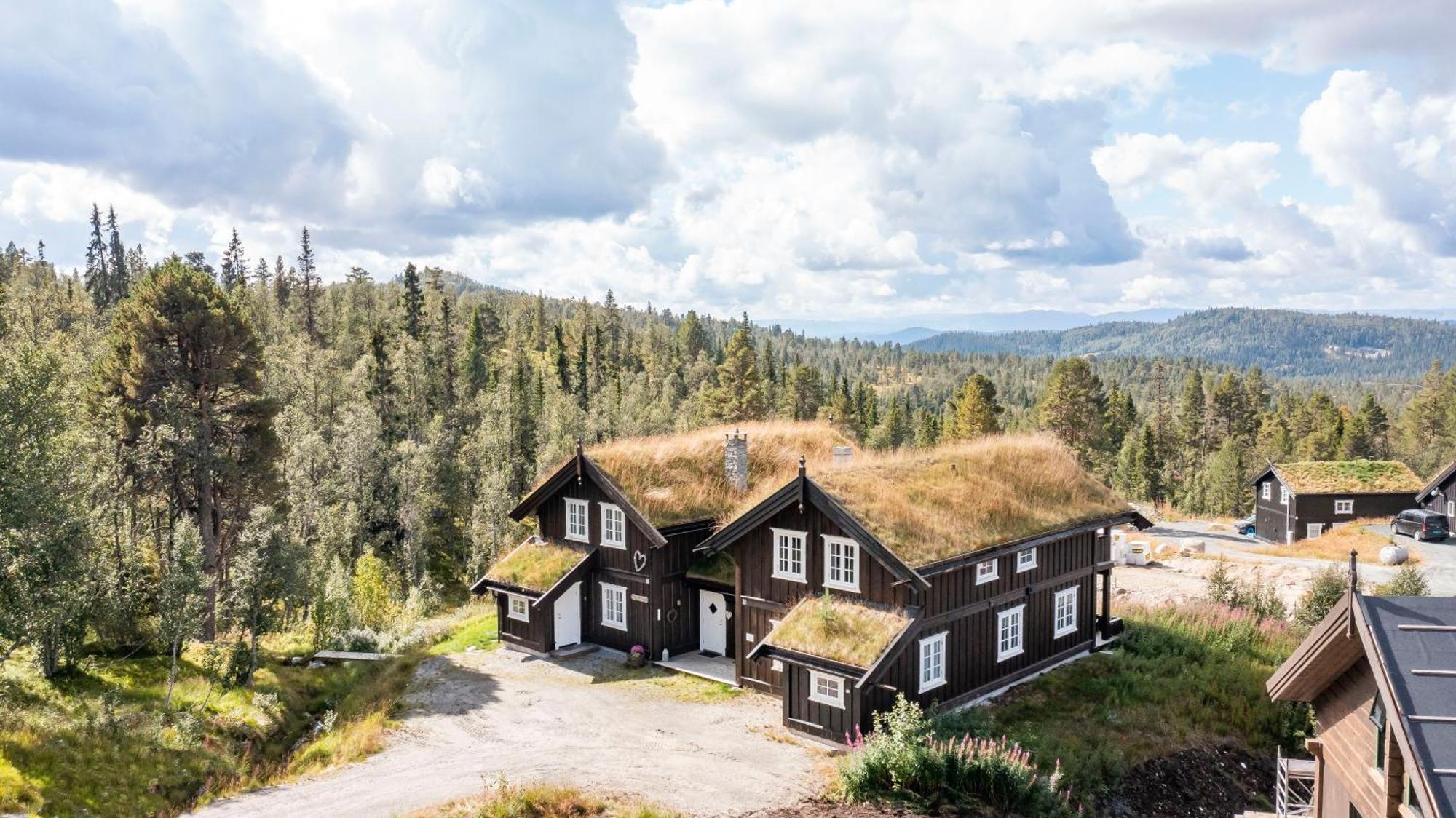 Rauland Feriesenter Villa Oda fotoğraf