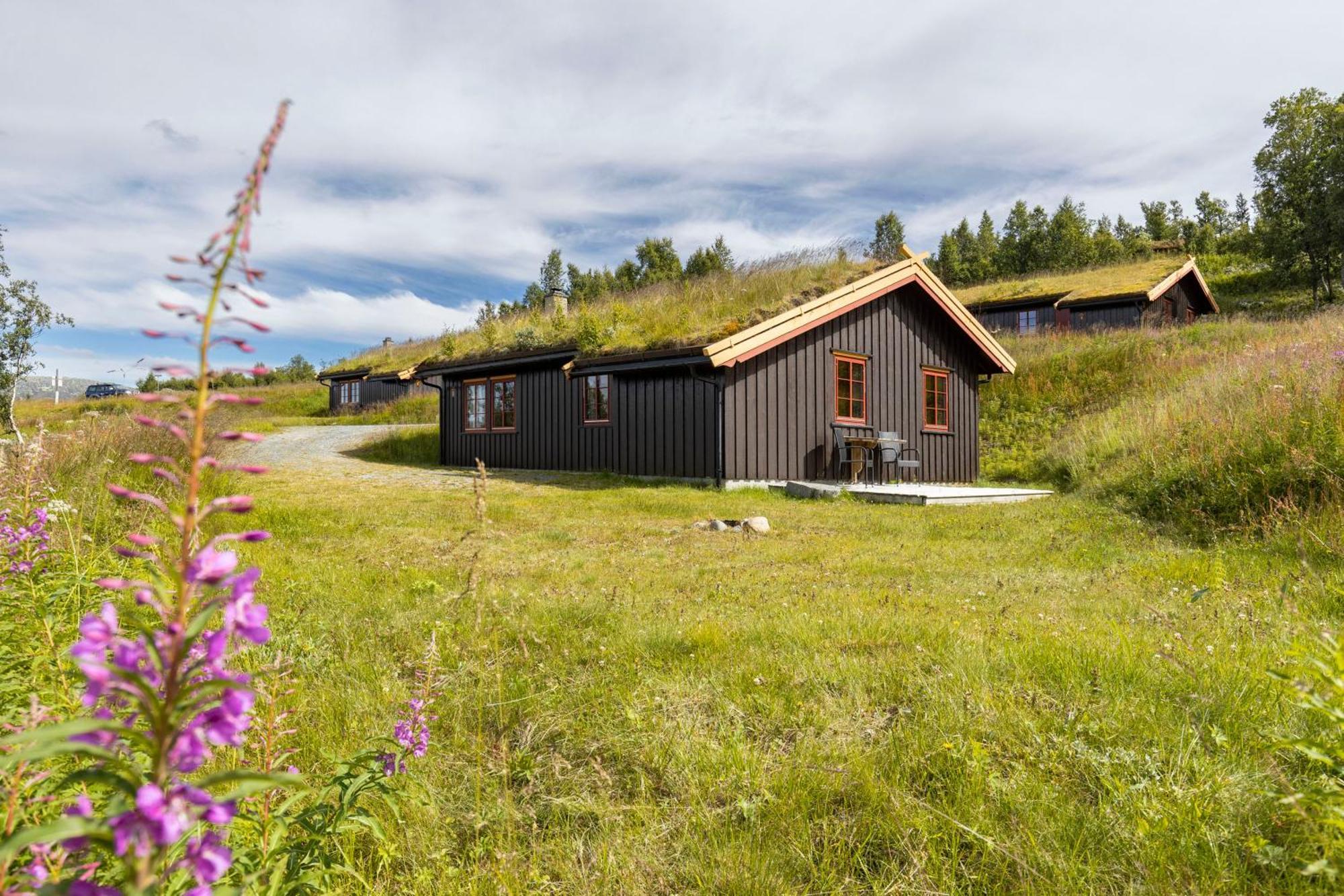 Rauland Feriesenter Villa Oda fotoğraf